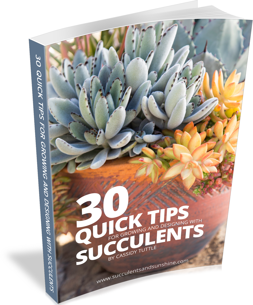 30 Quick Succulent Tips (E-Book) Questions & Answers