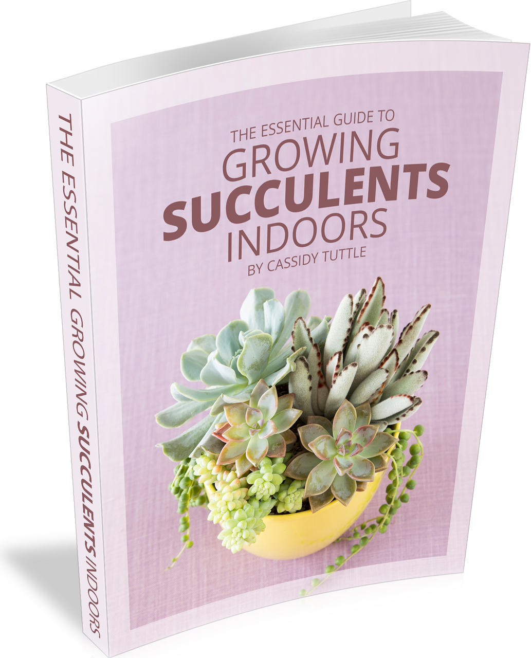 The Essential Guide to Growing Succulents Indoors (E-Book) Questions & Answers