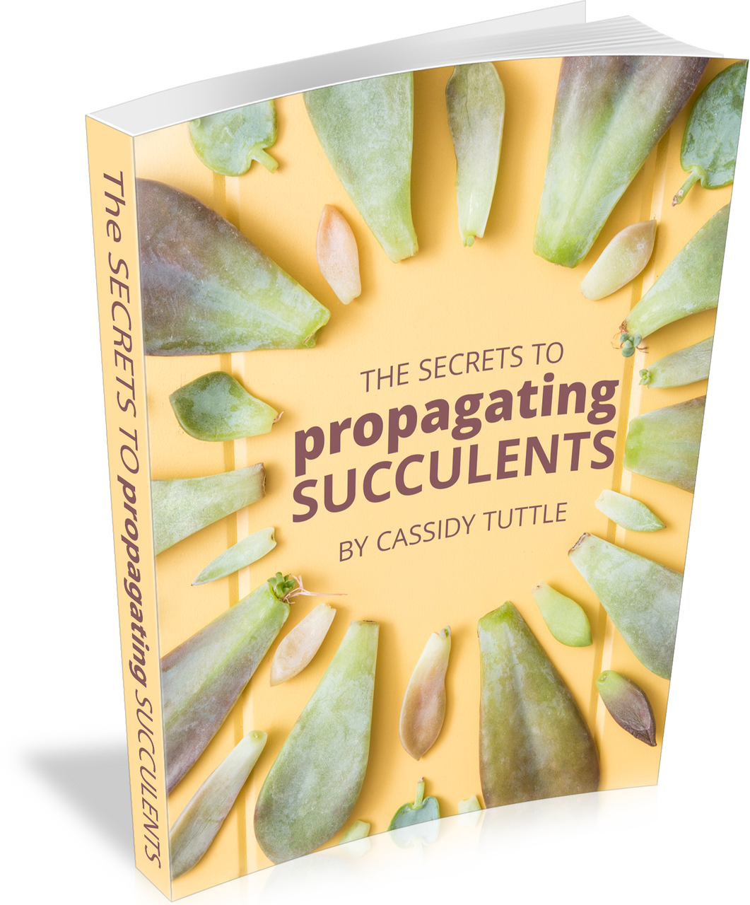 The Secrets to Propagating Succulents (E-Book) Questions & Answers