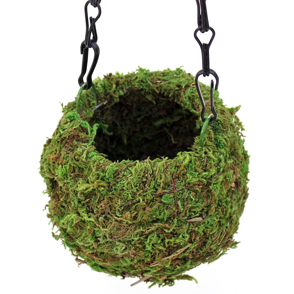 When placing succulents into a Moss Ball planter do you fill the inside with soil to support the plants?