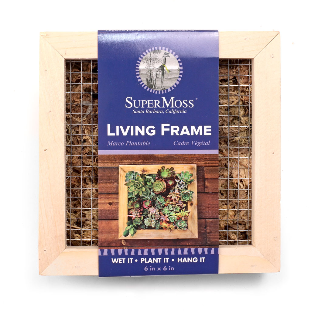 Super Moss Living Frame Questions & Answers