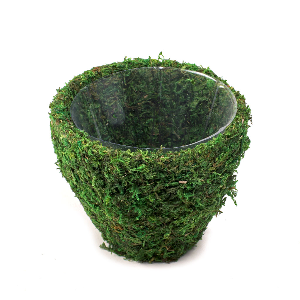 Mossy Moss Pot 4.7" x 4.3" Questions & Answers