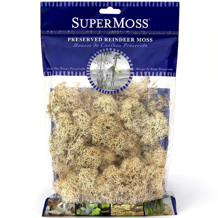 Reindeer Moss (Natural) Questions & Answers