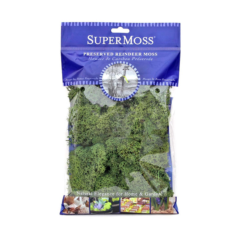 Reindeer Moss (Forest Green) Questions & Answers